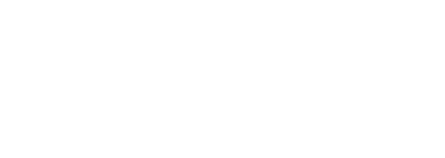 Rolfes SDG Academy Logo
