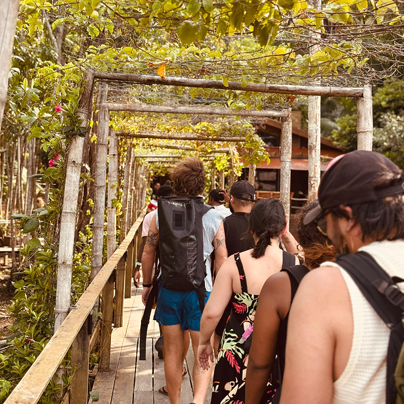 About Rolfes SDG Academy